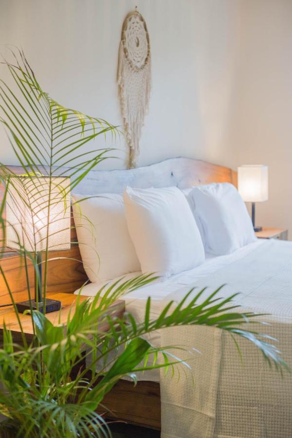 Maculan Hotel Valladolid  Ngoại thất bức ảnh